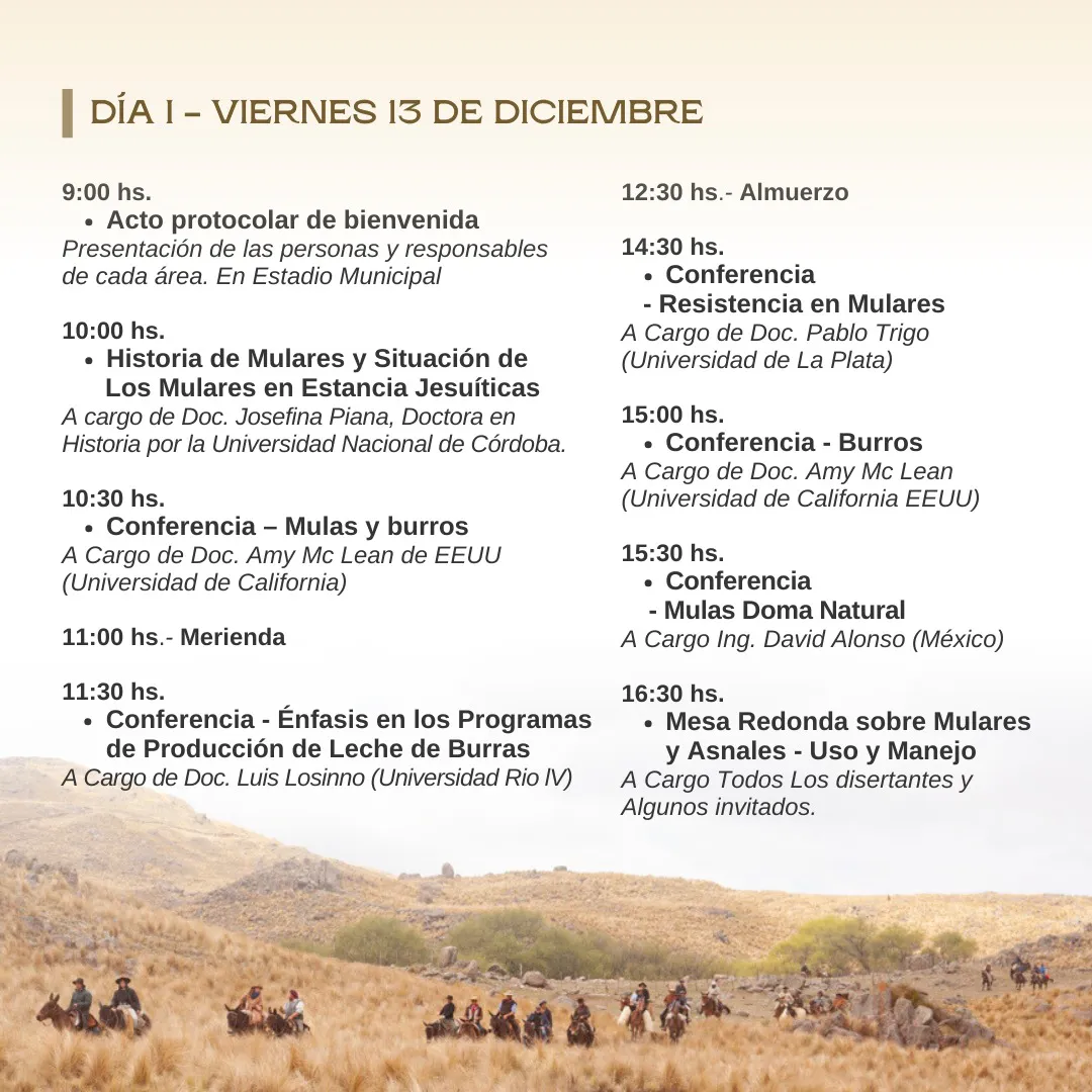 WhatsApp Image 2024-11-26 at 22.45.56